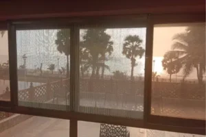 best mosquito net for windows